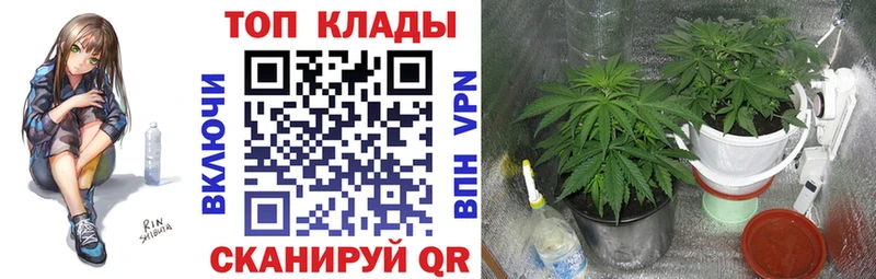 Хочу наркоту Чехов АМФЕТАМИН  A-PVP  ЭКСТАЗИ  Каннабис  ГАШИШ  МЕФ 